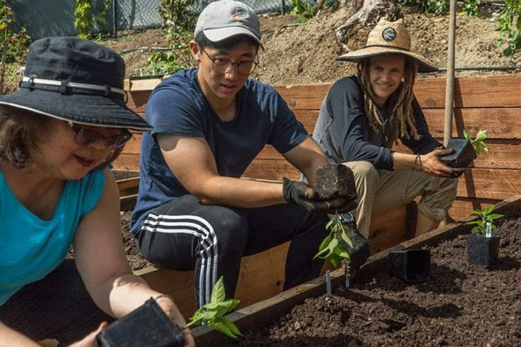 Three individuals of varied ages plant in a community garden.