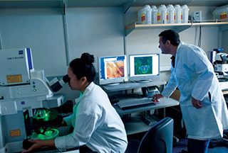 Two researchers working in a lab, female using a microscope, male comparing date on two computer screens